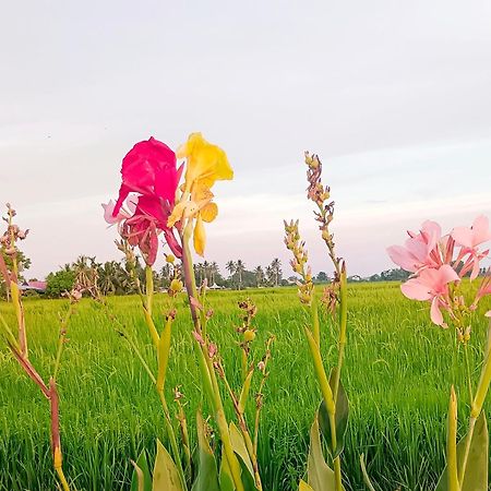 Kurau Inn Farmstay Kuala Kurau ภายนอก รูปภาพ