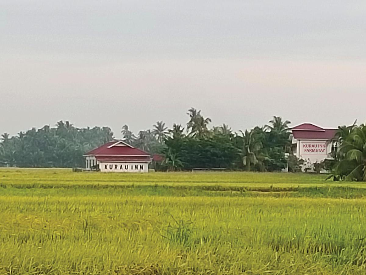 Kurau Inn Farmstay Kuala Kurau ภายนอก รูปภาพ
